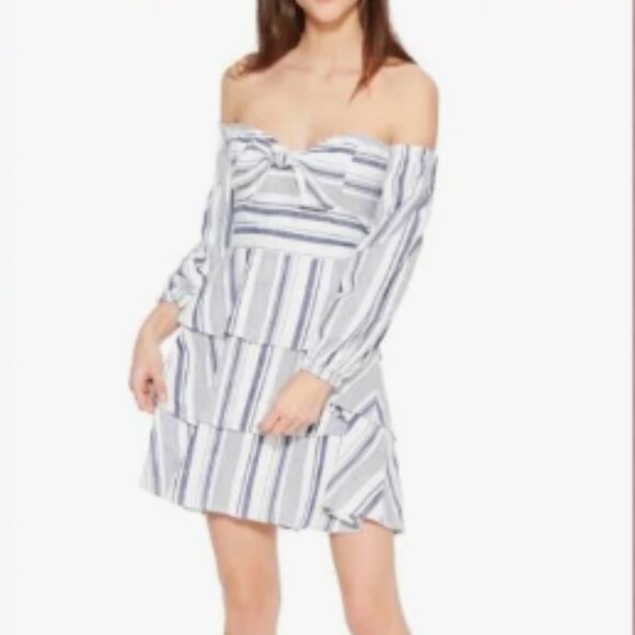 Parker Blue and White Striped Mini Dress - Picture 1 of 7